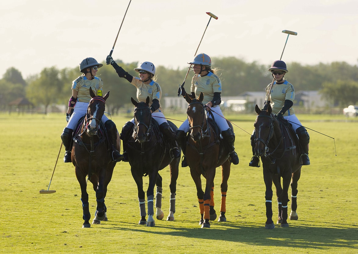 La Dolfinita polo school